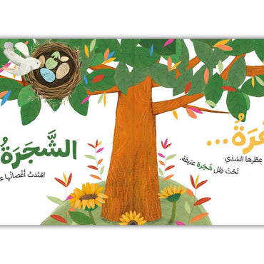 خلف النافذة