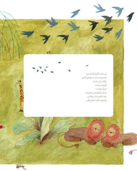 مجموعات